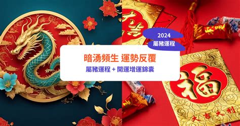 肖豬2024|【屬豬2024生肖運勢】暗湧頻生，運勢反覆｜屬豬運 